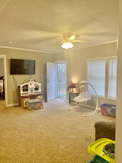 135 Spring Rd, Morrison, TN 37357 photo 4