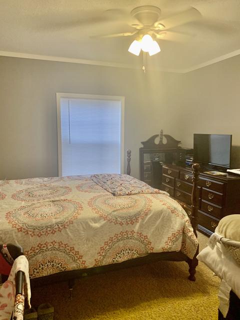 135 Spring Rd, Morrison, TN 37357 photo 9