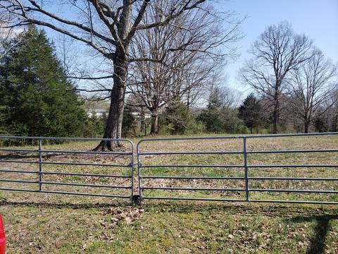 522 Murrell Rd, Dickson, TN 37055 photo 8