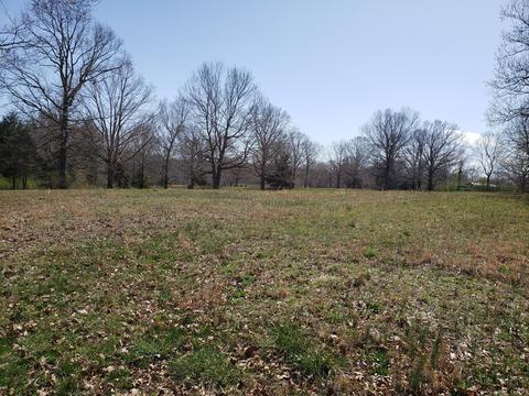522 Murrell Rd, Dickson, TN 37055 photo 2