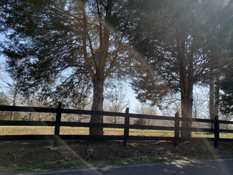 522 Murrell Rd, Dickson, TN 37055 photo 1