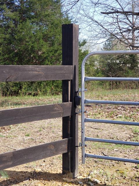 522 Murrell Rd, Dickson, TN 37055 photo 7