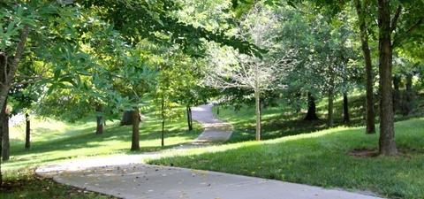 3012 Oglethorpe Dr, Franklin, TN 37064 photo 38