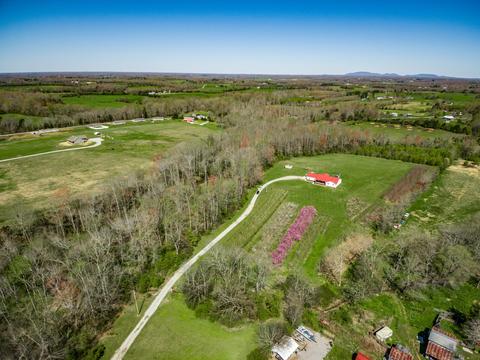 164 Four J Ln, Morrison, TN 37357 photo 36