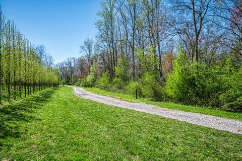 164 Four J Ln, Morrison, TN 37357 photo 33