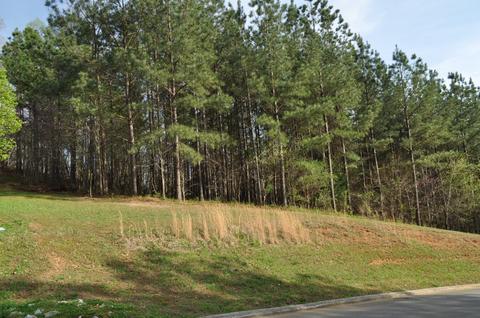 180 Mountain View Cir, Ocoee, TN 37361 photo 3