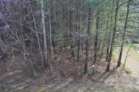180 Mountain View Cir, Ocoee, TN 37361 photo 14