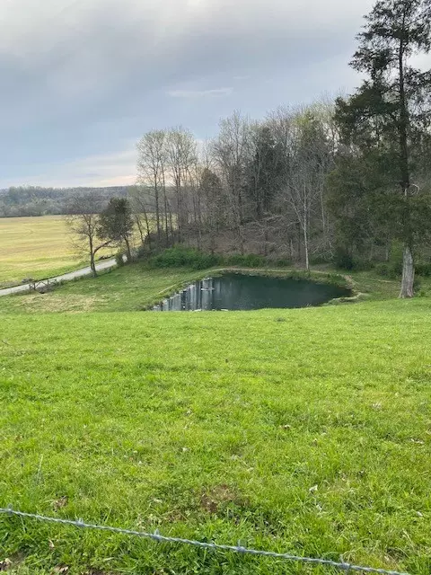 225 Hardin Loop, Westpoint, TN 38486 photo 8
