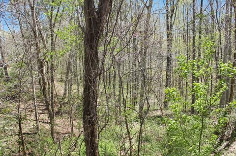 303 Crow Rd, Dover, TN 37058 photo 5