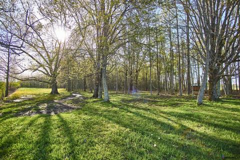 637 Ferrells Loop Rd, Beechgrove, TN 37018 photo 38
