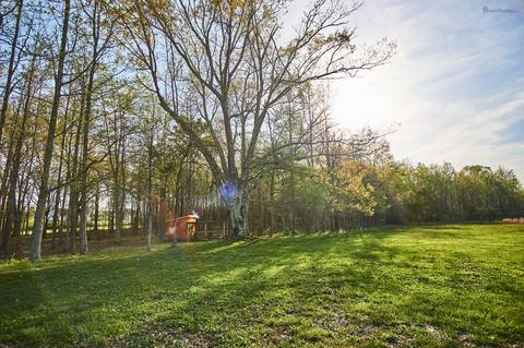 637 Ferrells Loop Rd, Beechgrove, TN 37018 photo 39