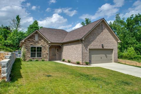 805 Deer Run Dr, Springfield, TN 37172 photo 1