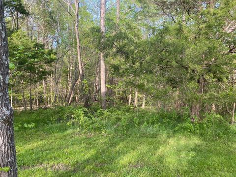 977 Oak Grove Rd, Goodspring, TN 38460 photo 25