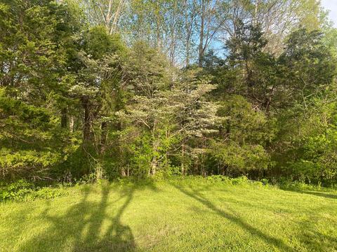 977 Oak Grove Rd, Goodspring, TN 38460 photo 24