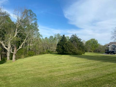 977 Oak Grove Rd, Goodspring, TN 38460 photo 27