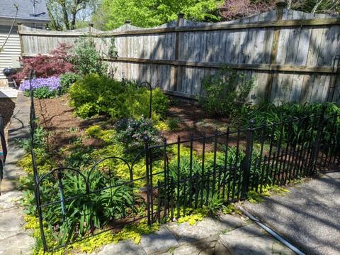 304 Boren St, Springfield, TN 37172 photo 21