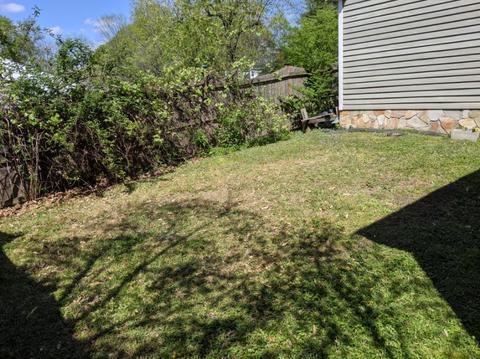 304 Boren St, Springfield, TN 37172 photo 15