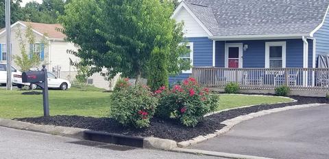 402 Corbitt Ln, Springfield, TN 37172 photo 1