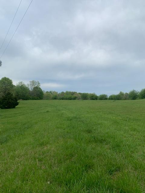 21 Powell Cir, Five Points, TN 38457 photo 1