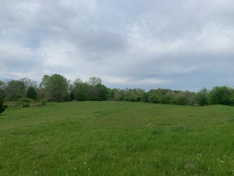 21 Powell Cir, Five Points, TN 38457 photo 3