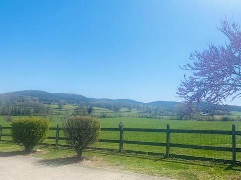 171 Bethlehem Rd, Rickman, TN 38580 photo 28