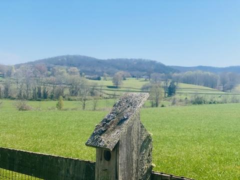 171 Bethlehem Rd, Rickman, TN 38580 photo 29
