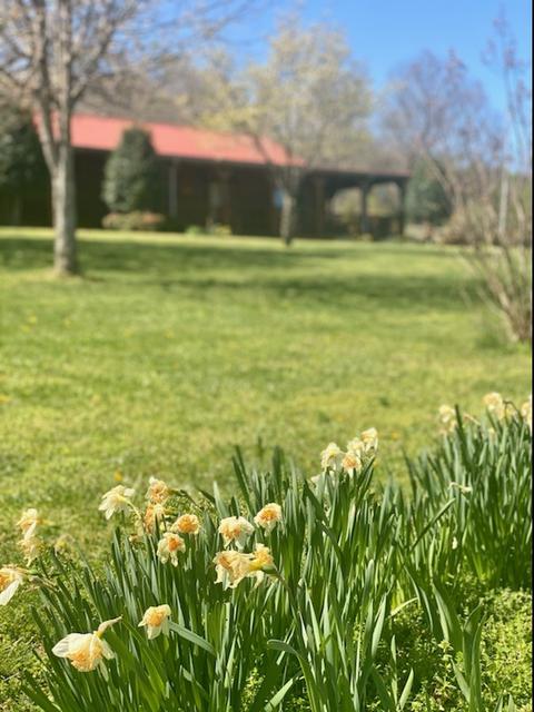 171 Bethlehem Rd, Rickman, TN 38580 photo 9
