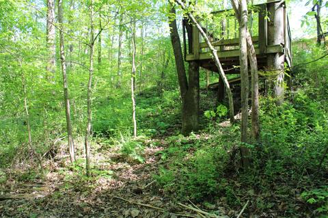 405 Blue Rd, Dickson, TN 37055 photo 16