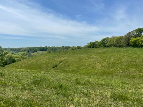 1793 Bledsoe Rd, Pulaski, TN 38478 photo 18