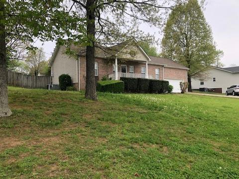 113 Lena Loop, Burns, TN 37029 photo 2