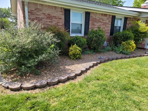 103 Blackpatch Dr, Springfield, TN 37172 photo 5