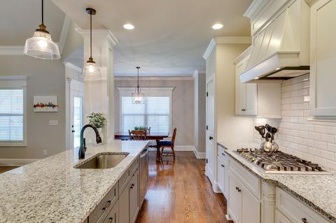 3029 Grunion Ln, Spring Hill, TN 37174 photo 9