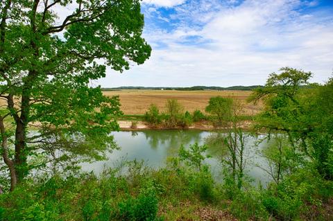 195 Elder Dr, Prospect, TN 38477 photo 26