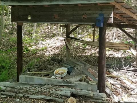 1517 Highway 50 E, Centerville, TN 37033 photo 13