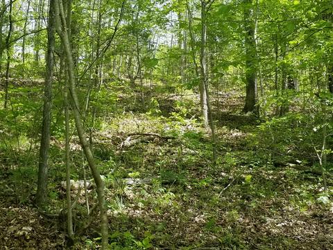 1517 Highway 50 E, Centerville, TN 37033 photo 11
