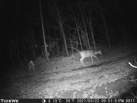 2355 Sylvia Rd, Dickson, TN 37055 photo 8