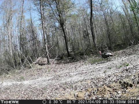 2355 Sylvia Rd, Dickson, TN 37055 photo 7