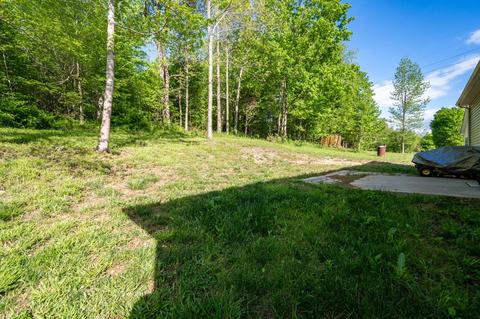 1236 Rogues Fork Rd, Bethpage, TN 37022 photo 20