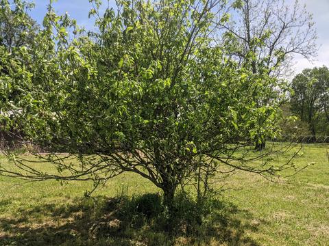 165 Hester Ln, Morrison, TN 37357 photo 32