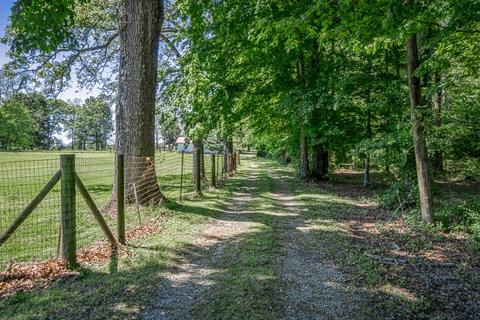 165 Hester Ln, Morrison, TN 37357 photo 18