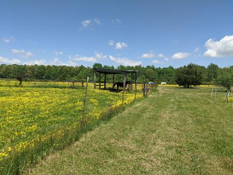 165 Hester Ln, Morrison, TN 37357 photo 33