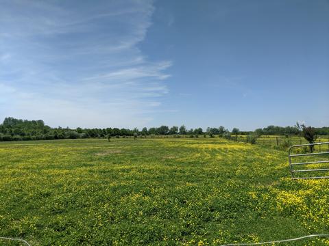 165 Hester Ln, Morrison, TN 37357 photo 34
