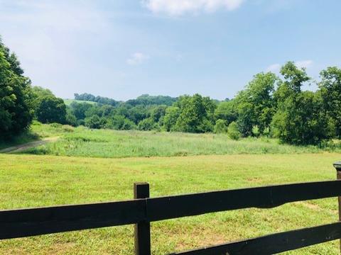 248 Access Rd, Pulaski, TN 38478 photo 2