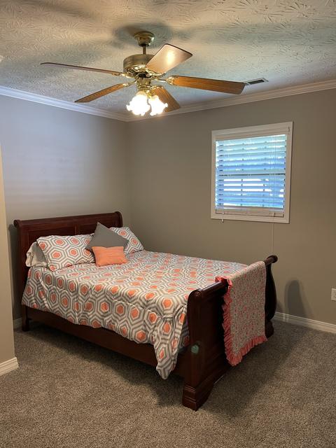 74 Johns Ln, Loretto, TN 38469 photo 25