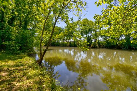 705 Warrior Dr, Murfreesboro, TN 37128 photo 42