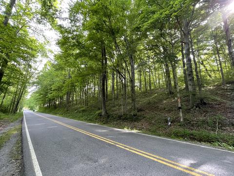 1284 Rogues Fork Rd, Bethpage, TN 37022 photo 2