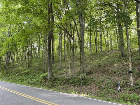 1284 Rogues Fork Rd, Bethpage, TN 37022 photo 3