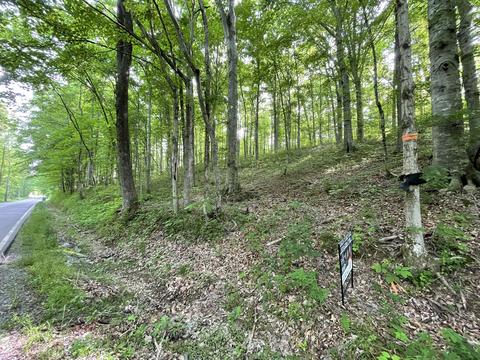 1284 Rogues Fork Rd, Bethpage, TN 37022 photo 1