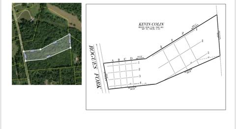 1284 Rogues Fork Rd, Bethpage, TN 37022 photo 4