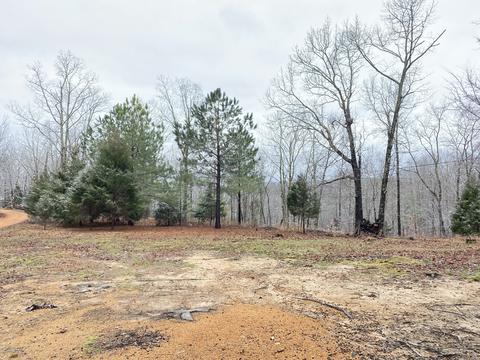 5080 Spears Rd, Centerville, TN 37033 photo 5